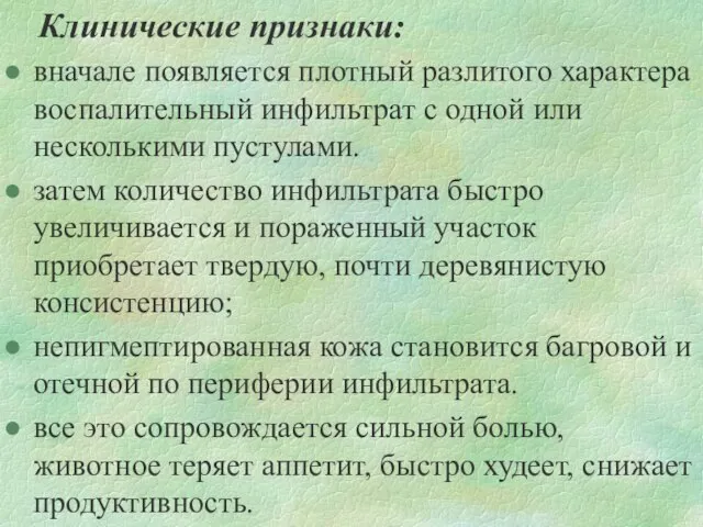 Клинические признаки: вначале появляется плотный разлитого характера воспалительный инфильтрат с одной