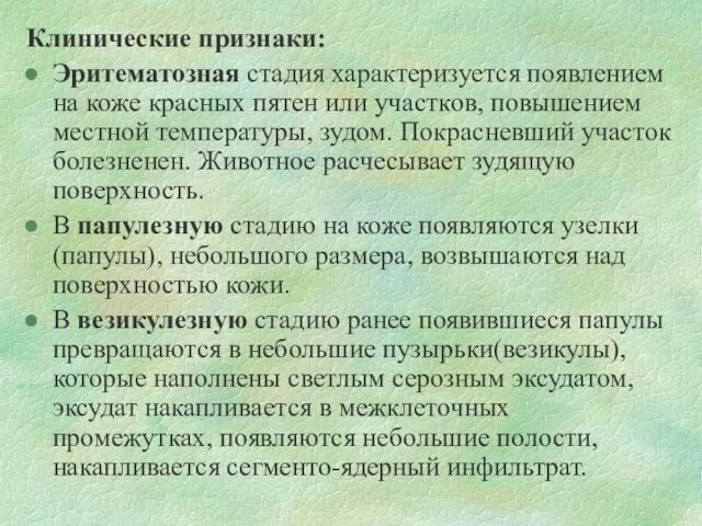 Клинические признаки: Эритематозная стадия характеризуется появлением на коже красных пятен или