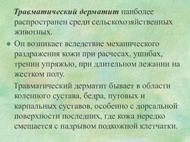 Травматический дерматит наиболее распространен среди сельскохозяйственных животных. Он возникает вследствие механического