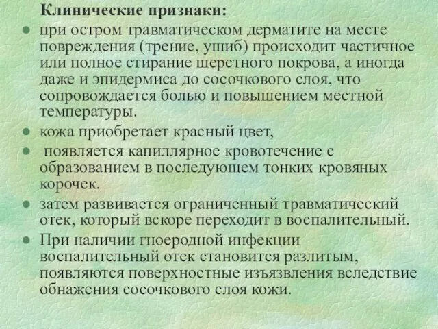 Клинические признаки: при остром травматическом дерматите на месте повреждения (трение, ушиб)