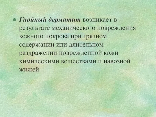 Гнойный дерматит возникает в результате механического повреждения кожного покрова при грязном