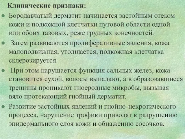 Клинические признаки: Бородавчатый дерматит начинается застойным отеком кожи и подкожной клетчатки