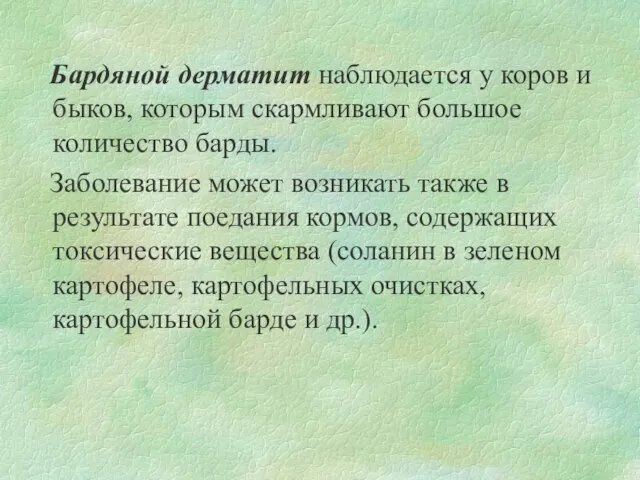 Бардяной дерматит наблюдается у коров и быков, которым скармливают большое количество