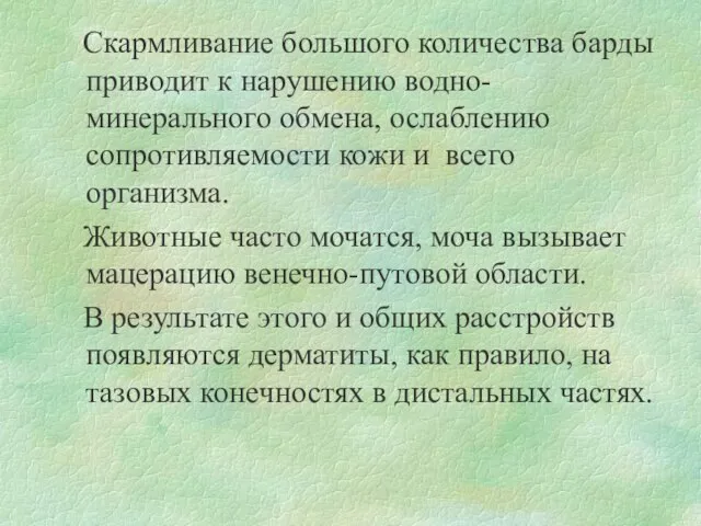 Скармливание большого количества барды приводит к нарушению водно-минерального обмена, ослаблению сопротивляемости