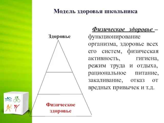 Модель здоровья школьника Физическое здоровье – функционирование организма, здоровье всех его