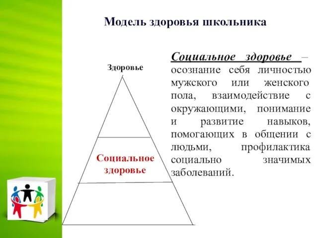 Модель здоровья школьника Социальное здоровье – осознание себя личностью мужского или