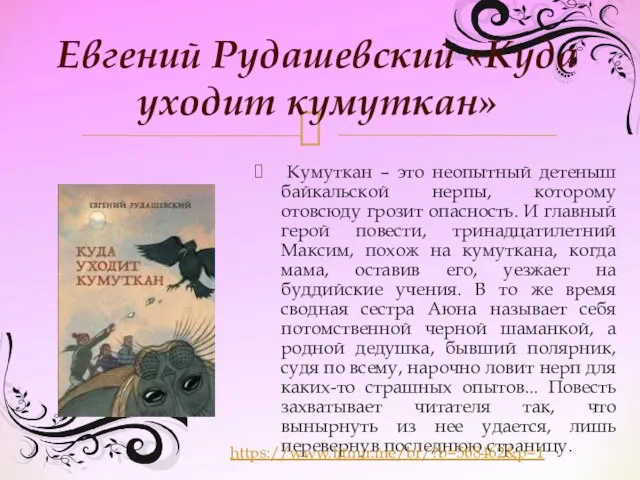 Кумуткан – это неопытный детеныш байкальской нерпы, которому отовсюду грозит опасность.