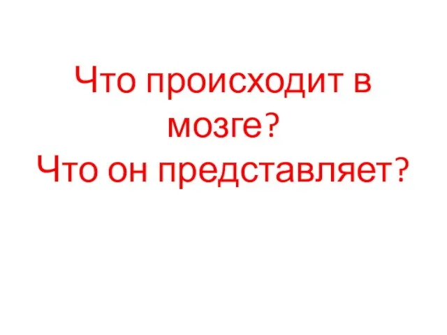 Что происходит в мозге? Что он представляет?