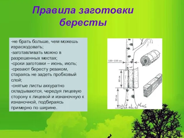 Как стабилизировать мох в домашних условиях Способ 1 - удалите мусор