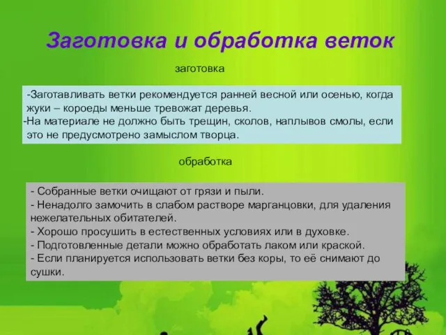 Заготовка и обработка веток -Заготавливать ветки рекомендуется ранней весной или осенью,