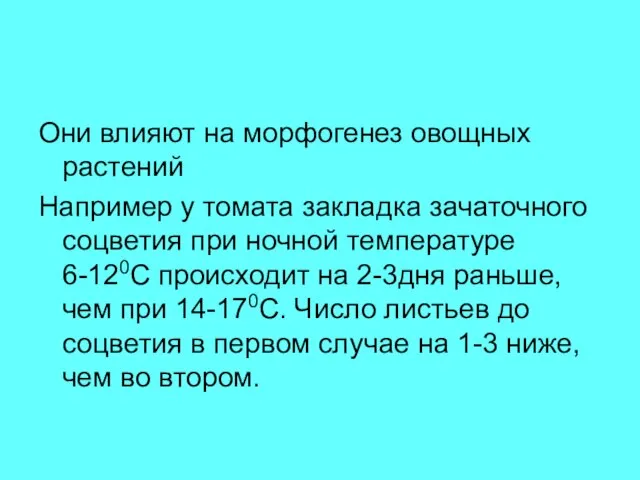 Они влияют на морфогенез овощных растений Например у томата закладка зачаточного