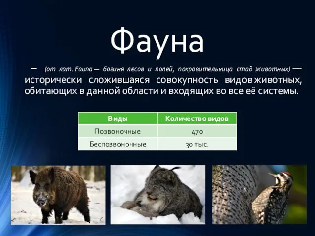 Фауна – (от лат. Fauna — богиня лесов и полей, покровительница