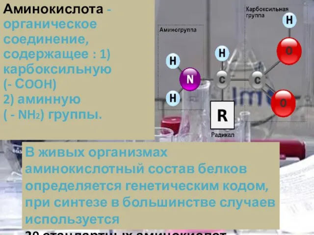 Аминокислота - органическое соединение, содержащее : 1)карбоксильную (- СOOH) 2) аминную