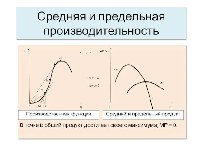 Средняя и предельная производительность В точке D общий продукт достигает своего максимума, МР = 0.