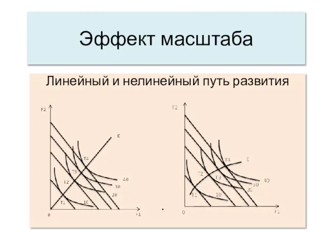 Эффект масштаба Линейный и нелинейный путь развития .