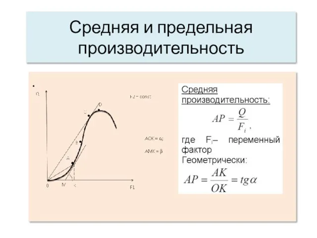 Средняя и предельная производительность .