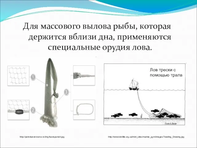 Для массового вылова рыбы, которая держится вблизи дна, применяются специальные орудия