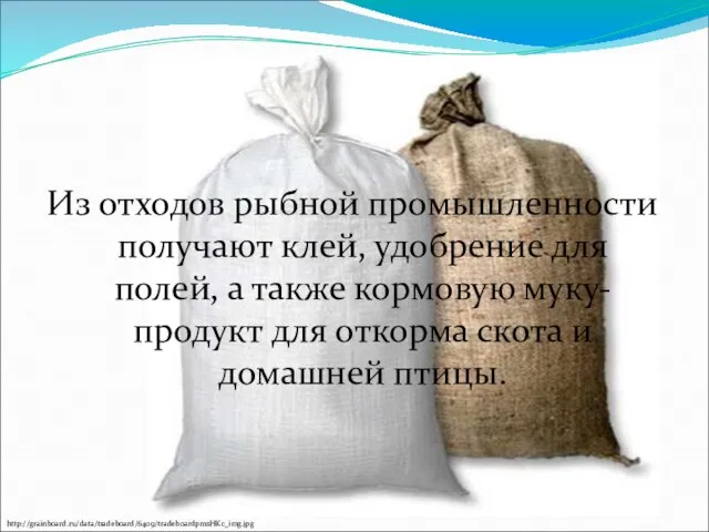 Из отходов рыбной промышленности получают клей, удобрение для полей, а также