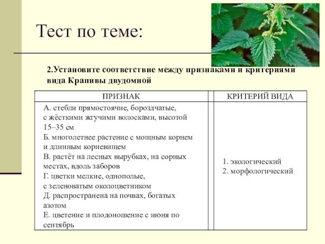 Тест по теме: 2.Установите соответствие между признаками и критериями вида Крапивы двудомной