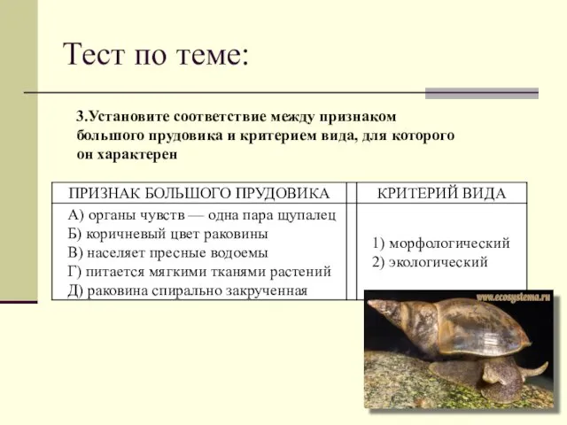 Тест по теме: 3.Установите соответствие между признаком большого прудовика и критерием вида, для которого он характерен