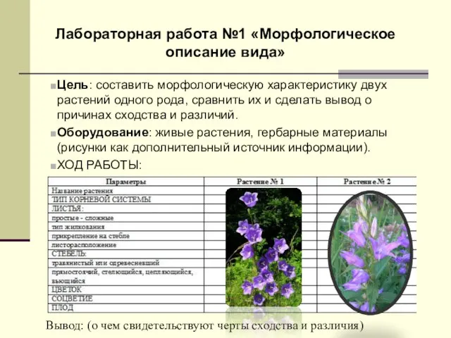 Лабораторная работа №1 «Морфологическое описание вида» Цель: составить морфологическую характеристику двух