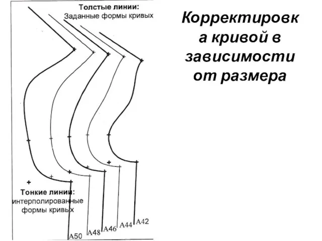 Корректировка кривой в зависимости от размера