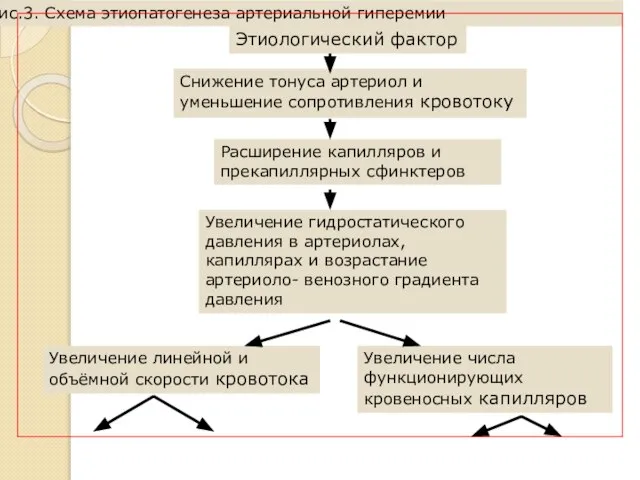 Этиологический фактор Снижение тонуса артериол и уменьшение сопротивления кровотоку Расширение капилляров