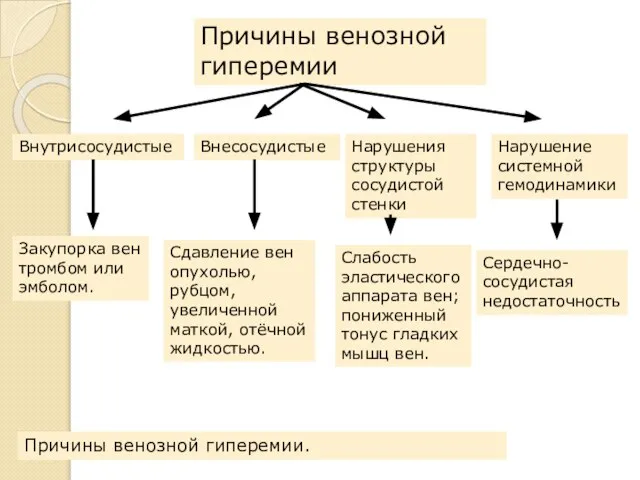 Причины венозной гиперемии Внутрисосудистые Закупорка вен тромбом или эмболом. Внесосудистые Сдавление