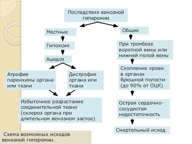 Последствия венозной гиперемии Местные Гипоксия Ацидоз Атрофия паренхимы органа или ткани