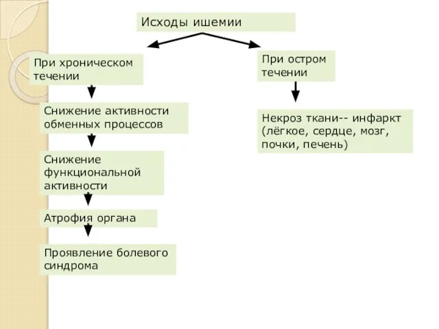 Исходы ишемии При хроническом течении При остром течении Снижение активности обменных