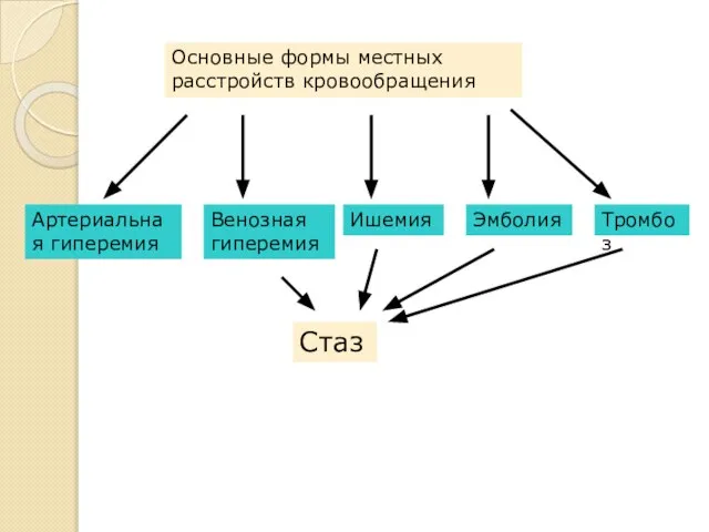 Основные формы местных расстройств кровообращения Артериальная гиперемия Венозная гиперемия Ишемия Эмболия Тромбоз Стаз