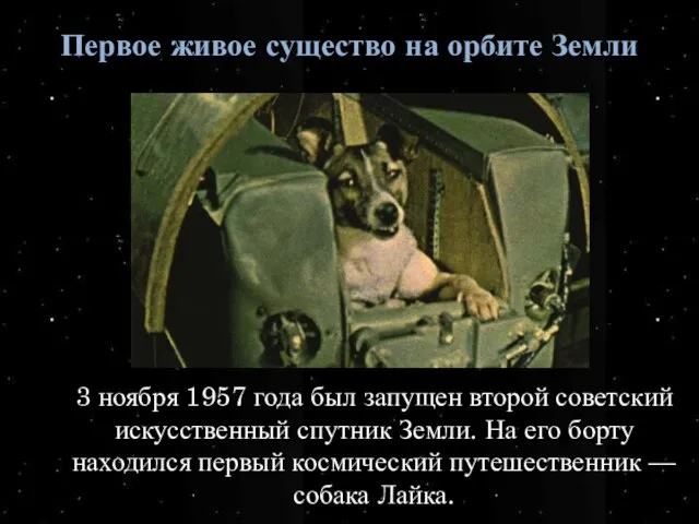 Первое живое существо на орбите Земли 3 ноября 1957 года был