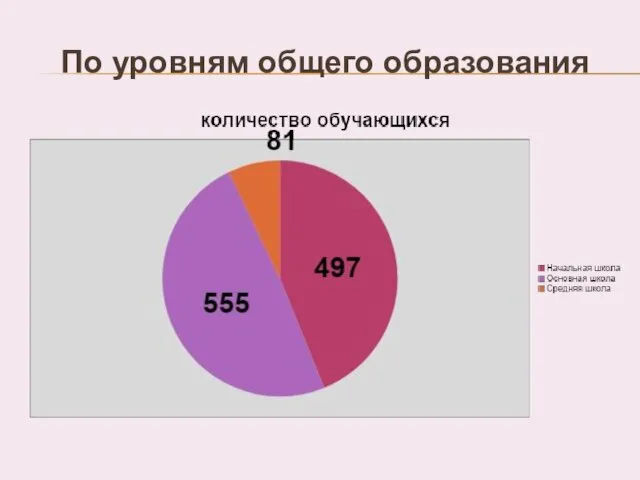 По уровням общего образования