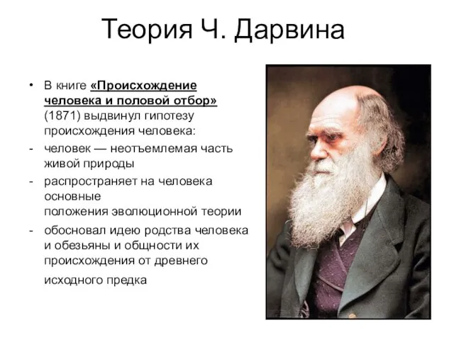 Теория Ч. Дарвина В книге «Происхождение человека и половой отбор» (1871)