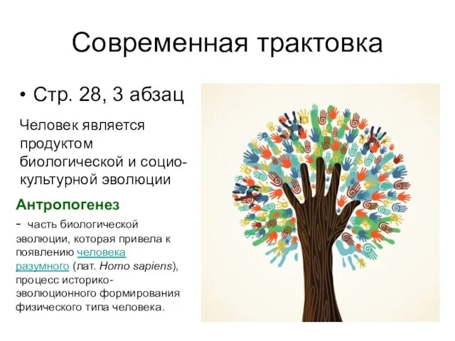 Современная трактовка Стр. 28, 3 абзац Человек является продуктом биологической и