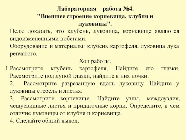 Лабораторная работа №4. "Внешнее строение корневища, клубня и луковицы". Цель: доказать,