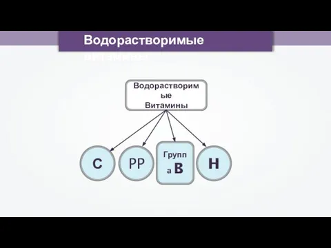 Водорастворимые витамины Водорастворимые Витамины С PP H Группа B