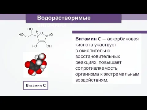 Водорастворимые витамины Витамин C — аскорбиновая кислота участвует в окислительно-восстановительных реакциях,