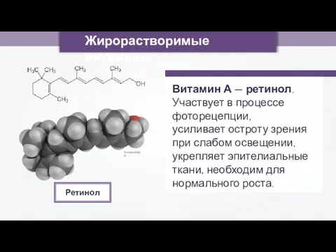 Жирорастворимые витамины Витамин А — ретинол. Участвует в процессе фоторецепции, усиливает