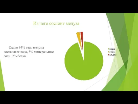 Из чего состоит медуза Около 95% тела медузы составляет вода, 3% минеральные соли, 2% белка.