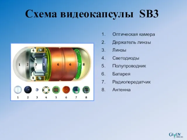 Схема видеокапсулы SB3 Оптическая камера Держатель линзы Линзы Светодиоды Полупроводник Батарея Радиопередатчик Антенна