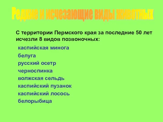 С территории Пермского края за последние 50 лет исчезли 8 видов