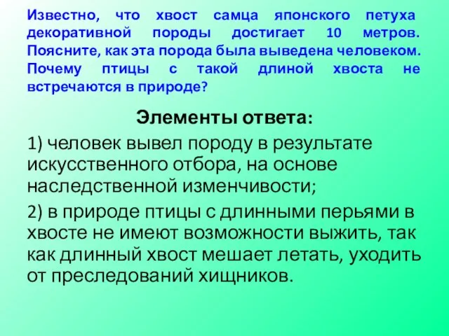 Известно, что хвост самца японского петуха декоративной породы достигает 10 метров.