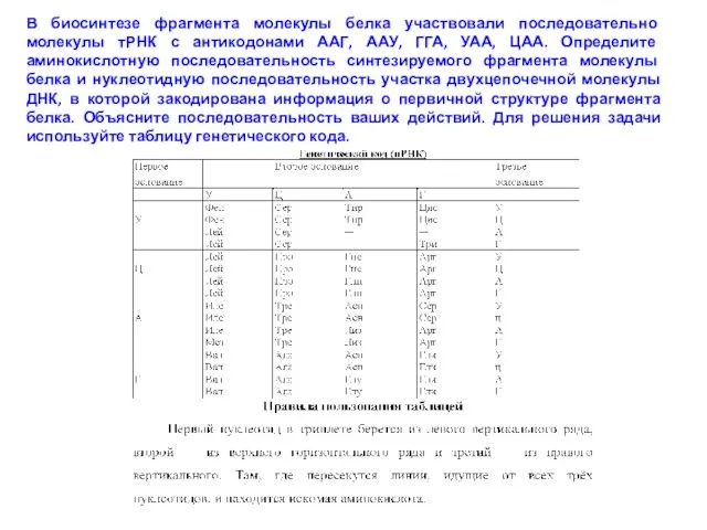 В биосинтезе фрагмента молекулы белка участвовали последовательно молекулы тРНК с антикодонами