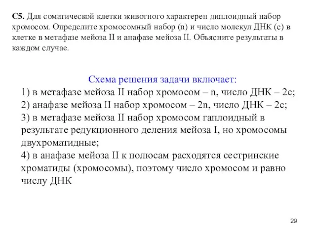 С5. Для соматической клетки животного характерен диплоидный набор хромосом. Определите хромосомный