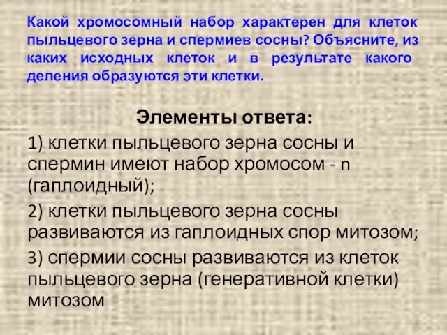 Какой хромосомный набор характерен для клеток пыльцевого зерна и спермиев сосны?