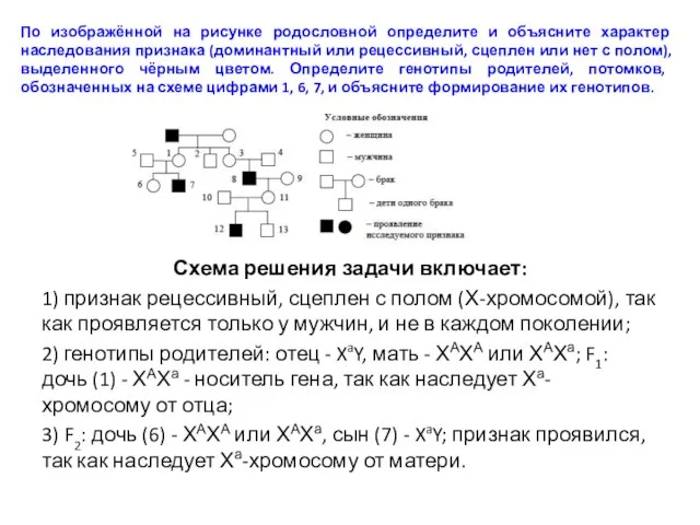 По изображённой на рисунке родословной определите и объясните характер наследования признака