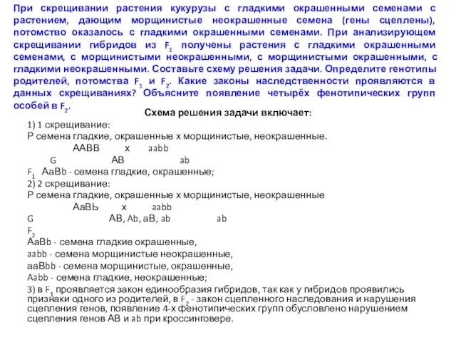 При скрещивании растения кукурузы с гладкими окрашенными семенами с растением, дающим