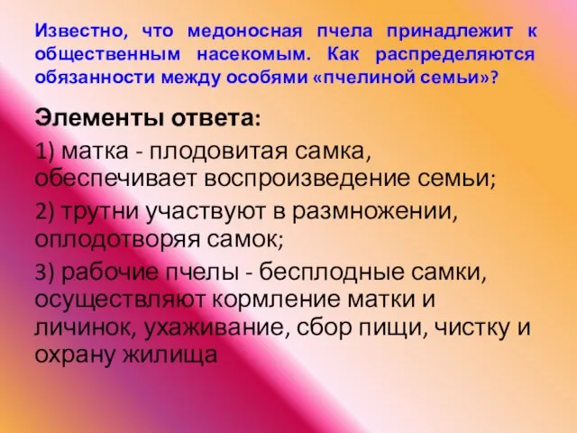 Известно, что медоносная пчела принадлежит к общественным насекомым. Как распределяются обязанности