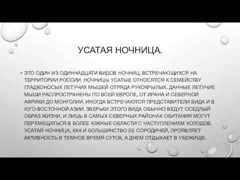 УСАТАЯ НОЧНИЦА. ЭТО ОДИН ИЗ ОДИННАДЦАТИ ВИДОВ НОЧНИЦ, ВСТРЕЧАЮЩИХСЯ НА ТЕРРИТОРИИ